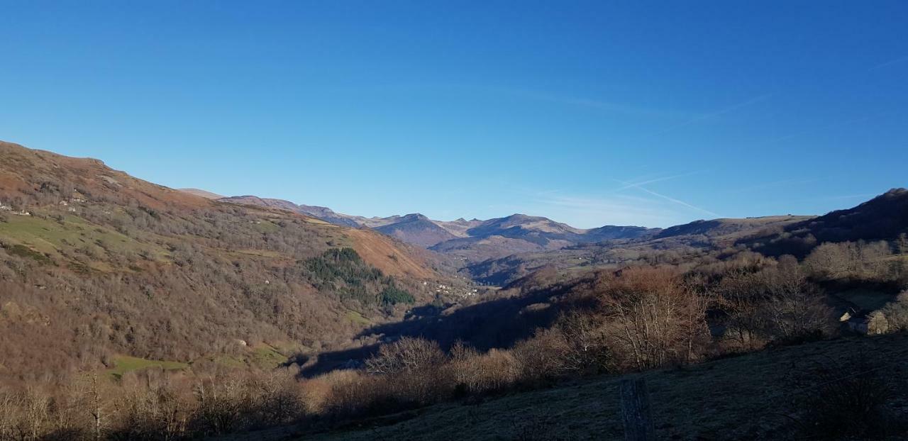 Maison Du Pays De Salers Dans Le Parc Des Volcans D'Auvergne Saint-Projet-de-Salers Kültér fotó